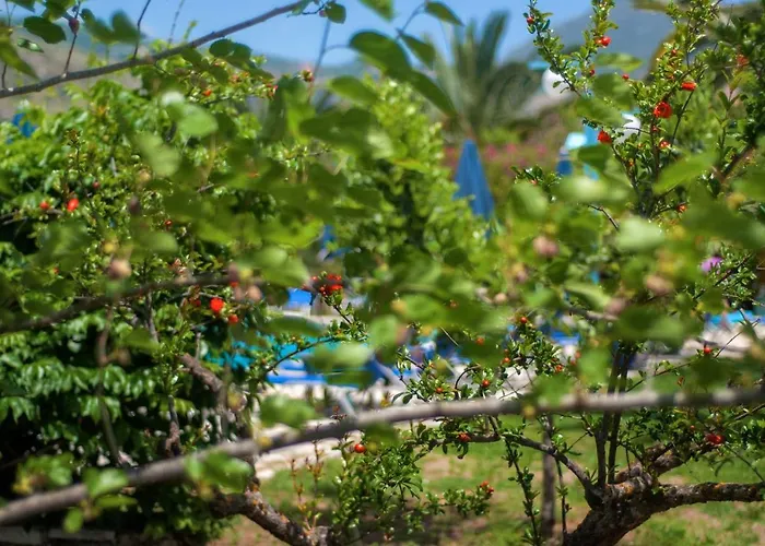Efrosini Village Katelios