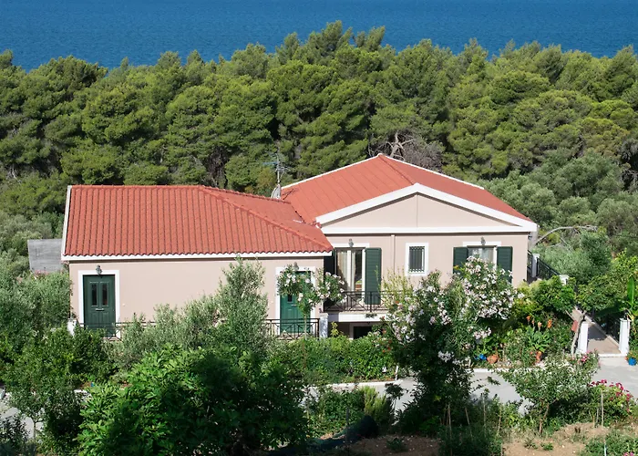 Seapine Studios Lassi 